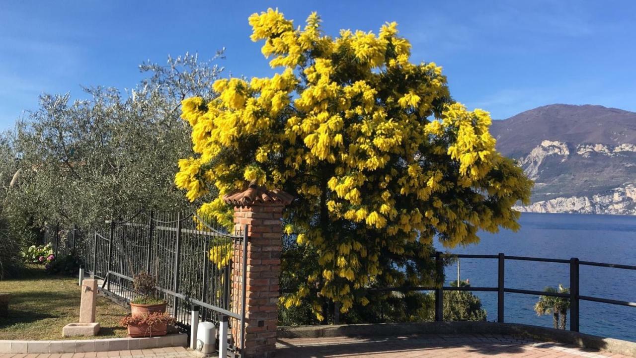 La Virgola Apartments Brenzone sul Garda Exteriér fotografie